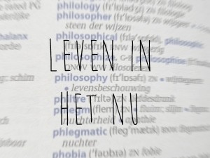 Leven in het Nu 300x225