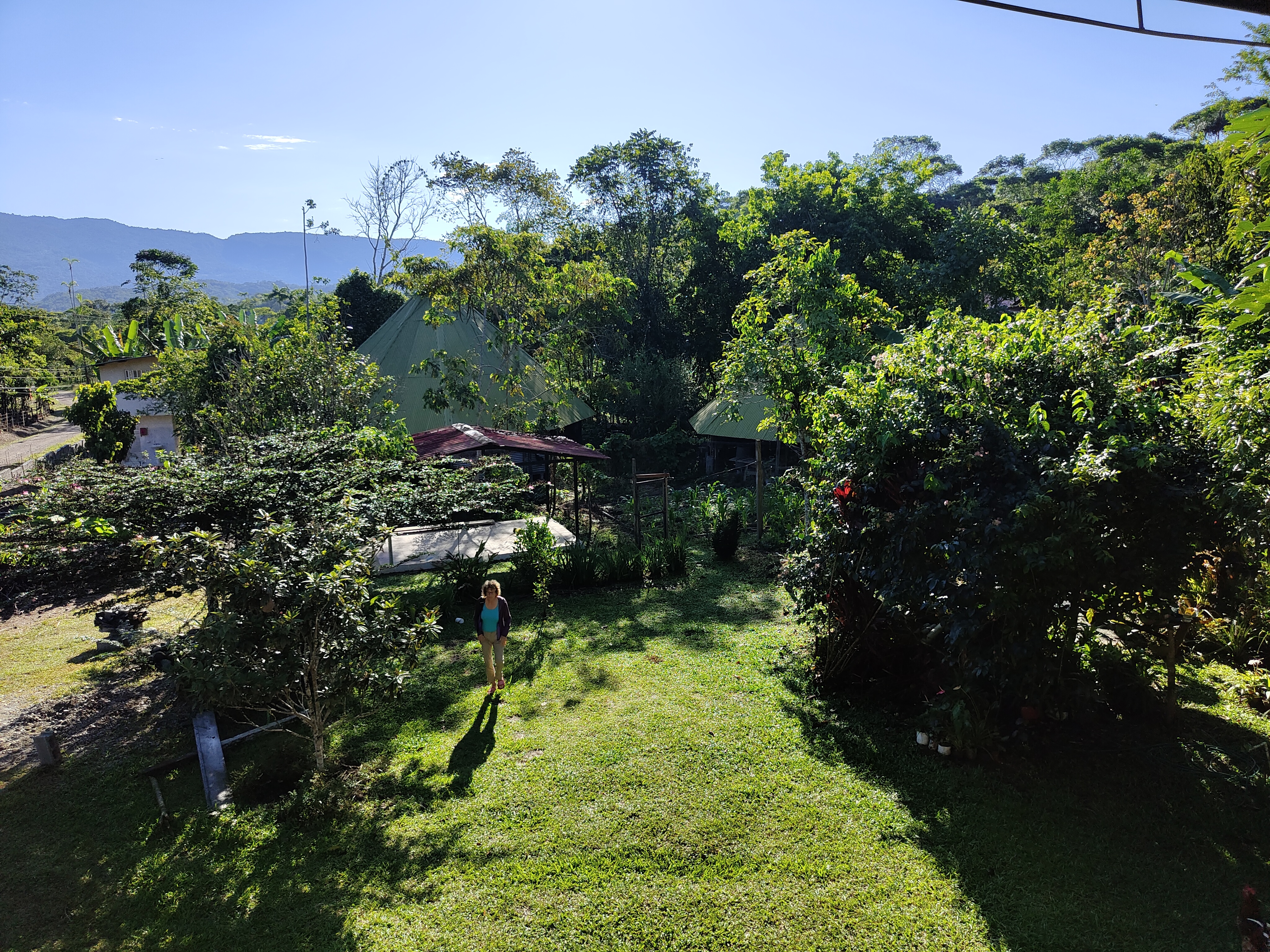 Uitzicht op tuin en moloka van Lucho